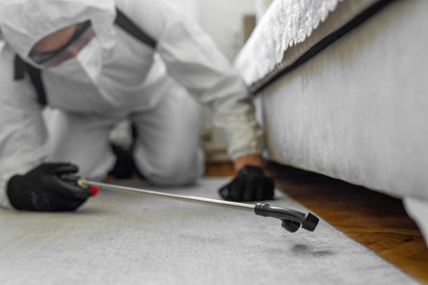 Professional Bed Bug Control technician working in Columbia County County, GA